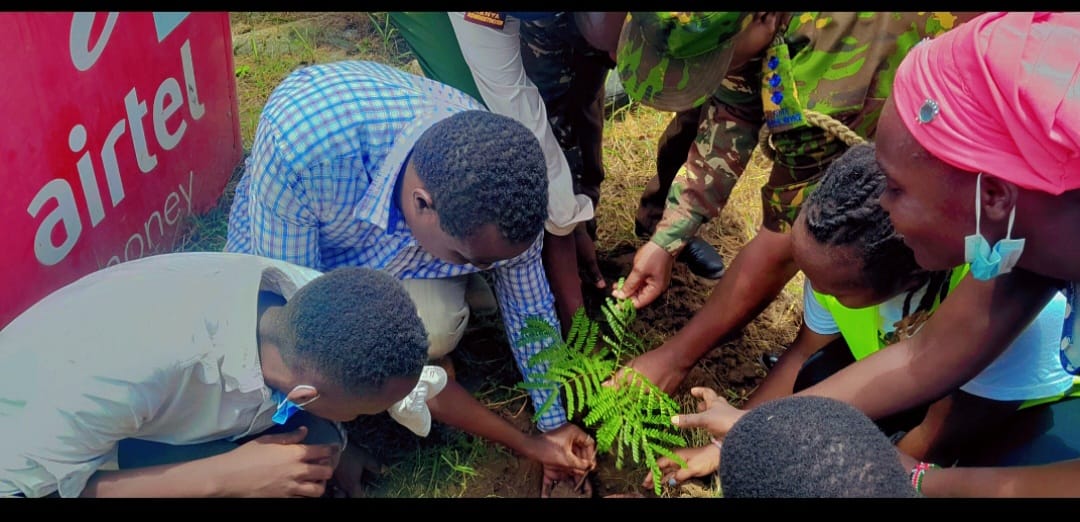Tree planting