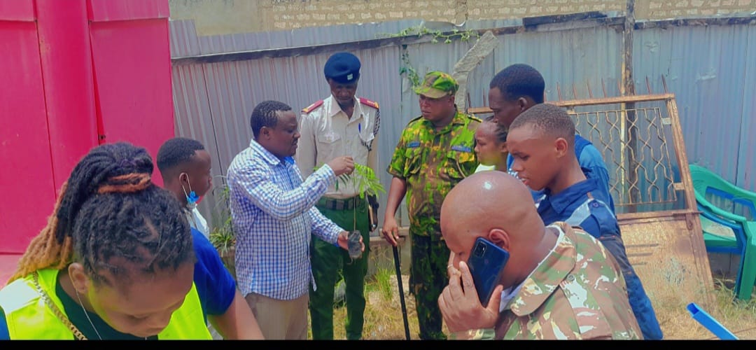 Innovation and Technology